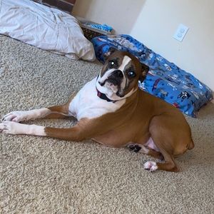 Meet your Posher, Joseph